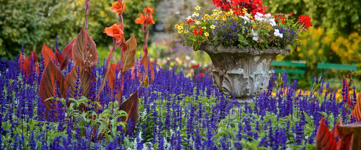 Candie Gardens featuring wildflowers and flowers