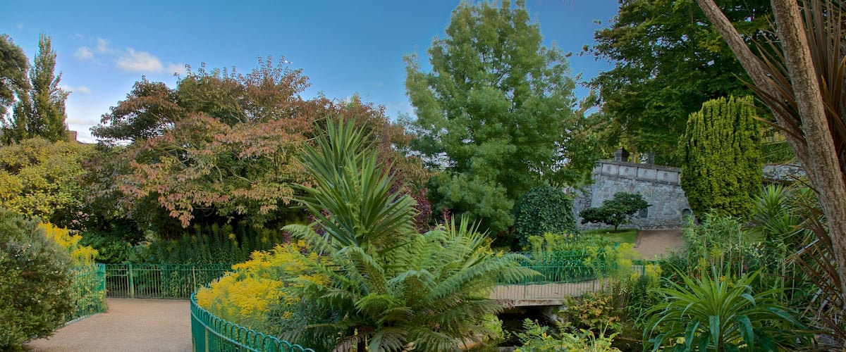 Candie Gardens showing a garden