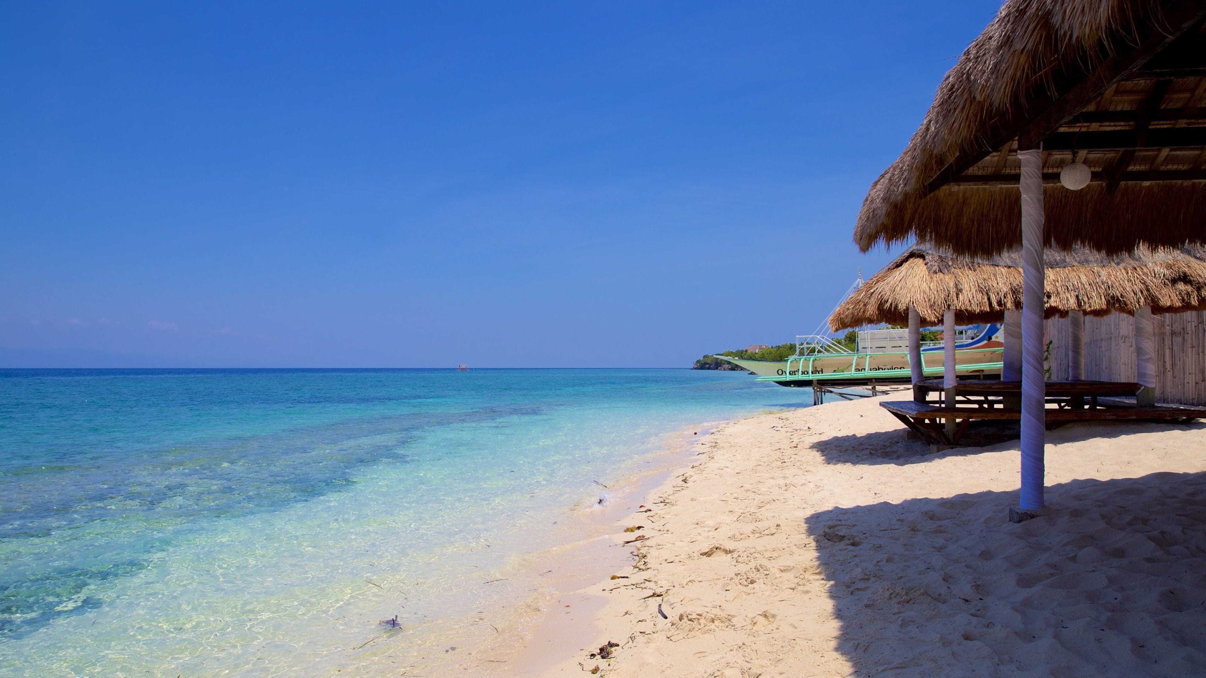 Moalboal featuring a sandy beach and general coastal views