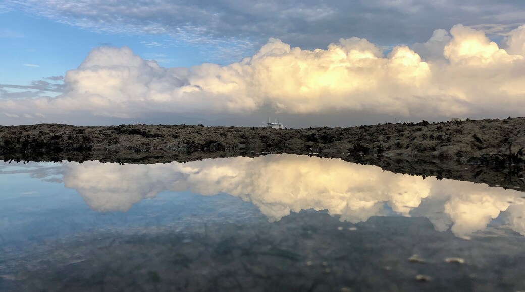 Good morning Moalboal