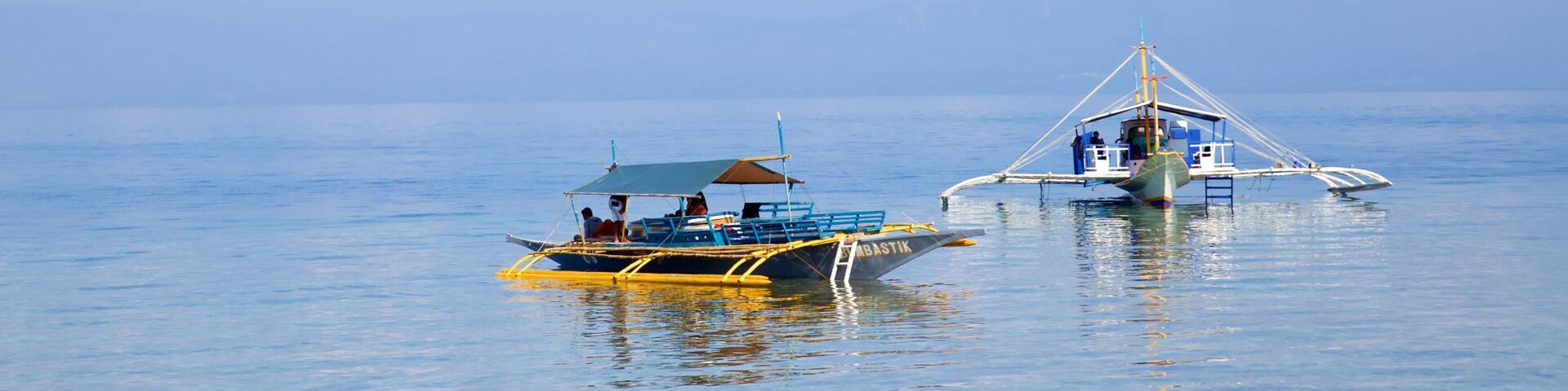 Moalboal welches beinhaltet allgemeine Küstenansicht