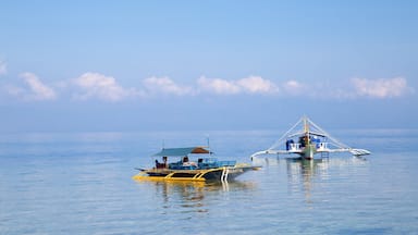 Moalboal