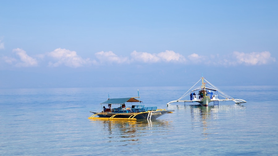 Moalboal which includes general coastal views