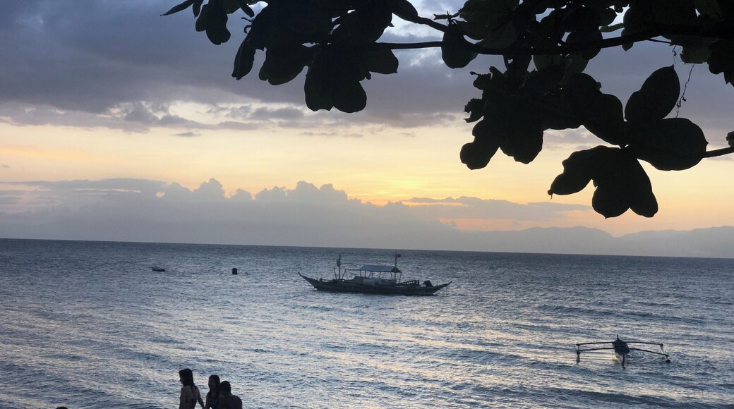 White beach in Moalboal