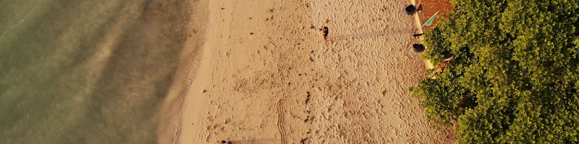 An aerial view of a beach with footprints, umbrellas, and greenery.