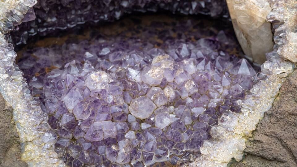A cluster of purple amethyst crystals embedded in a rock formation.