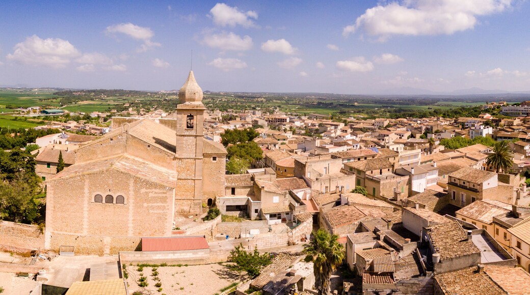 玛利亚德拉萨鲁特