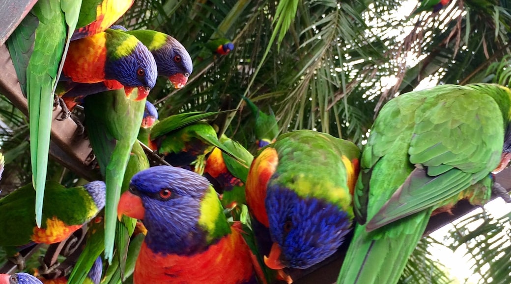 Great camping ground awesome for wedding venues