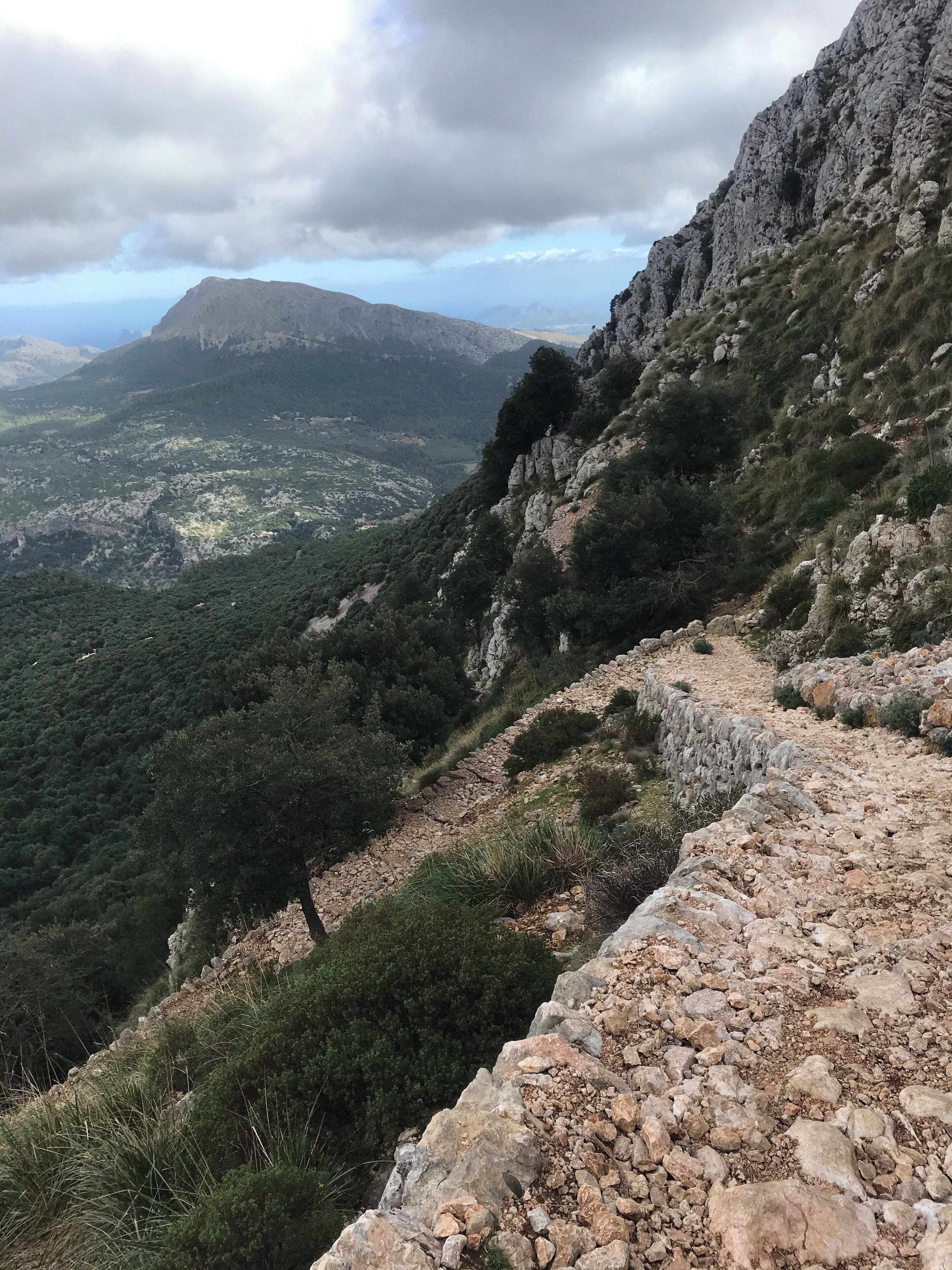 The GR 221 is a hiking trail through the Serra de Tramuntana on Mallorca, Spain. I can not recommend enough hiking through this beautiful landscape from one beautiful village to another. The whole tour takes about 9-11 days from Port d‘Andratx to Pollença. This photo is taken between the Refugio Tossals Verds and Lluc.

#Spain #Mallorca #Lluc #Hiking #Nature #Outdoor #Trovember