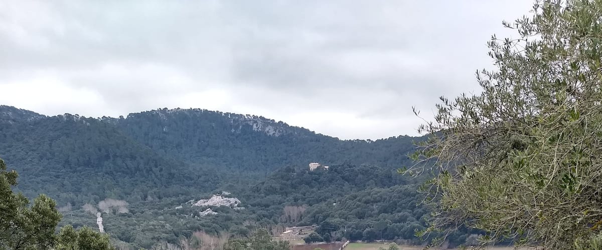 A historic building with a clock tower surrounded by lush greenery and hills in the background.