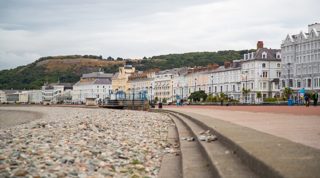 Promenade showing a coastal town and a pebble beach