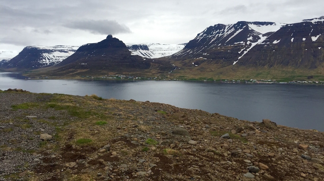 Driving from Holmavik to Isafjordur. Fjords are BEAUTIFUL!! These pictures simply can't do them justice. This was such a remote area, I saw under 10 other cars in my 4.5 hour drive. In fact, on that note, the drive is only suppose to take 3 hours, but the scenery was so beautiful I kept driving slower and slower to look at it all and "take it all in"... Not to mention stopping a lot to take pictures...
#waterlust