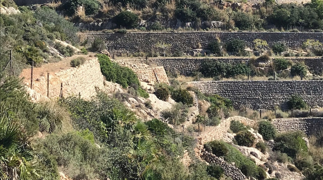 The GR 221 is a hiking trail through the Serra de Tramuntana on Mallorca, Spain. I can not recommend enough hiking through this beautiful landscape from one beautiful village to another. The whole tour takes about 9-11 days from Port d‘Andratx to Pollença. This photo is taken on the second day between Sant Elm and Ses Fontanelles.
#Spain #Mallorca #SantElm #Nature #Hiking #Outdoor