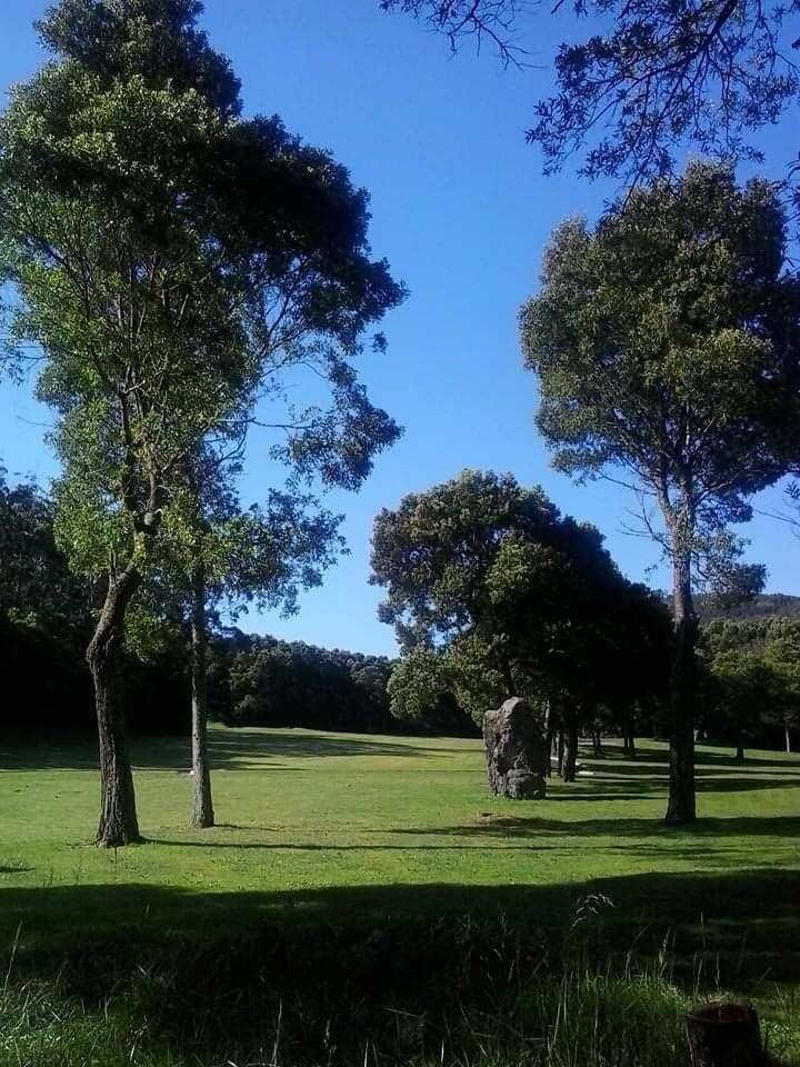 C course in Batalha. Perfect day for playing golf
