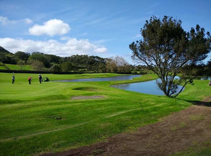 Beautiful Saturday morning in the golf course