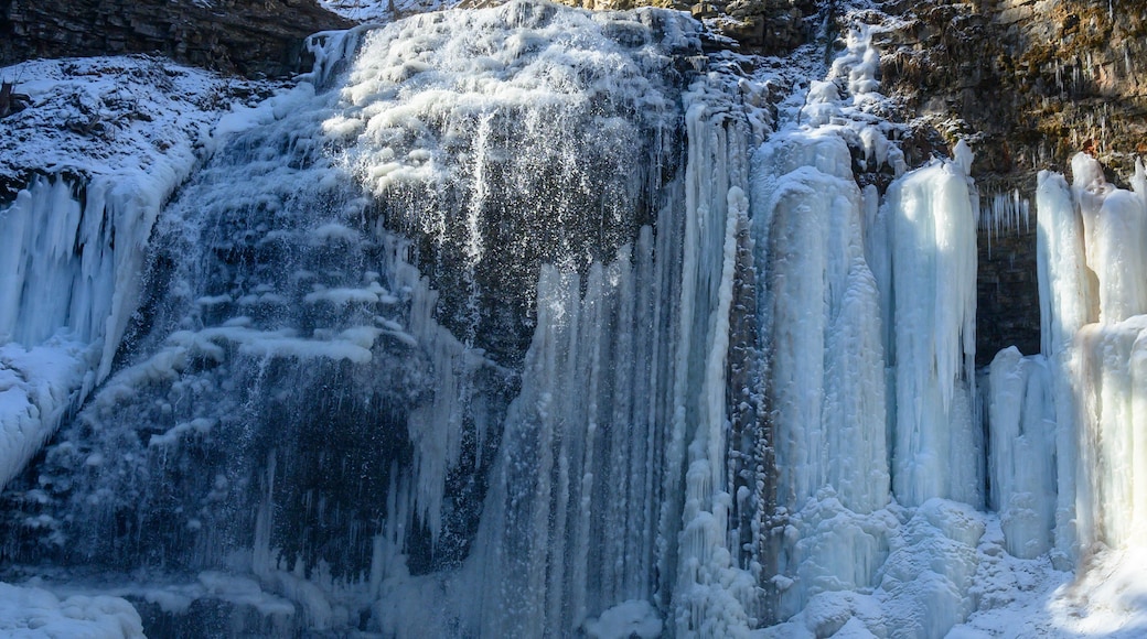 Tiffany Falls shows its beauty in winter