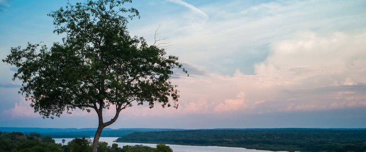 A river with a tree in the foreground and a cloudy sky in the background.
