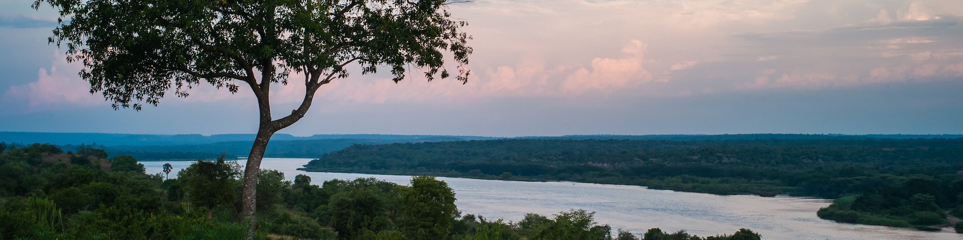 A river with a tree in the foreground and a cloudy sky in the background.