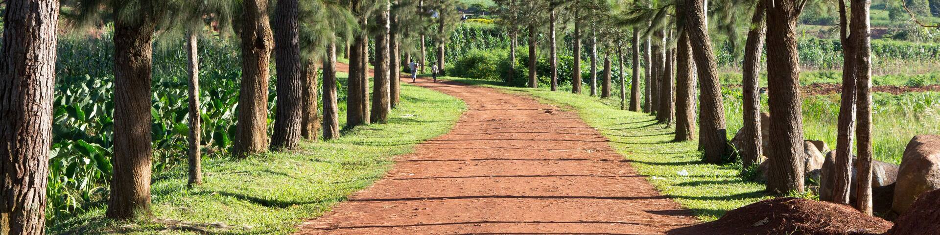 Lugazi, Uganda. 1 May 2017. The alley through a park leading to the Catholic Cathedral of the Queen of Peace.