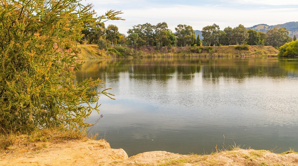Allans Flat Bushland Reserve