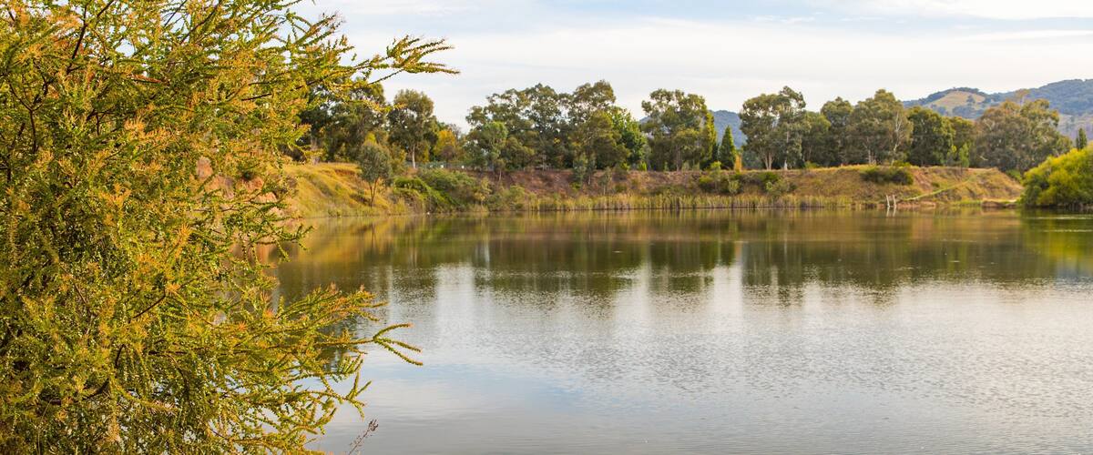 Allans Flat Bushland Reserve
