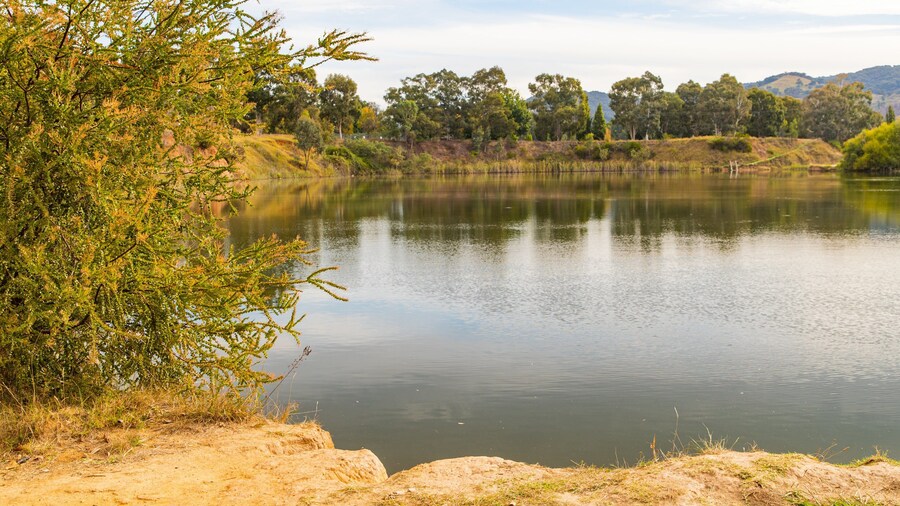 Allans Flat Bushland Reserve