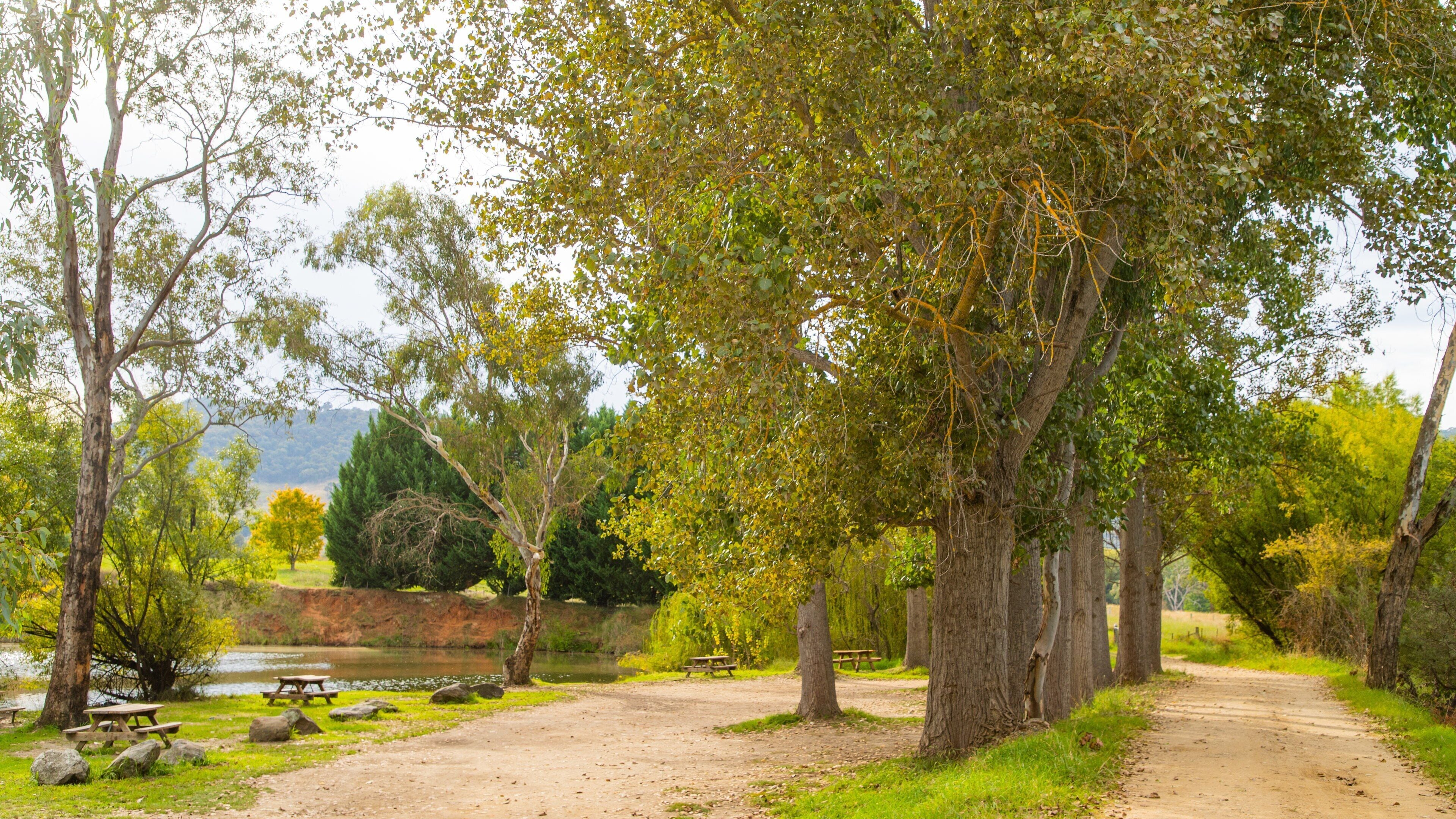 A park with picnic tables, a dirt path, and trees.