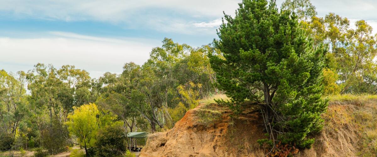 Allans Flat Bushland Reserve featuring a lake or waterhole
