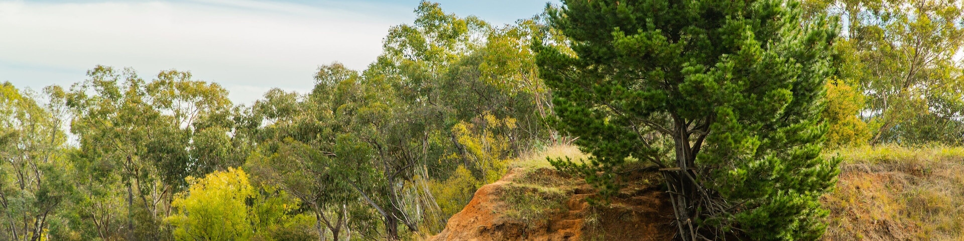 Allans Flat Bushland Reserve featuring a lake or waterhole
