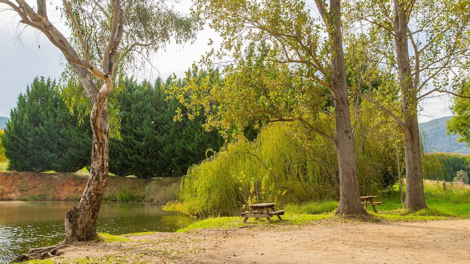 A serene lakeside picnic area with trees, a bench, and a picnic table.