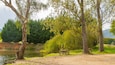 Un espacio de picnic tranquilo junto al lago, con árboles, un banco y una mesa.