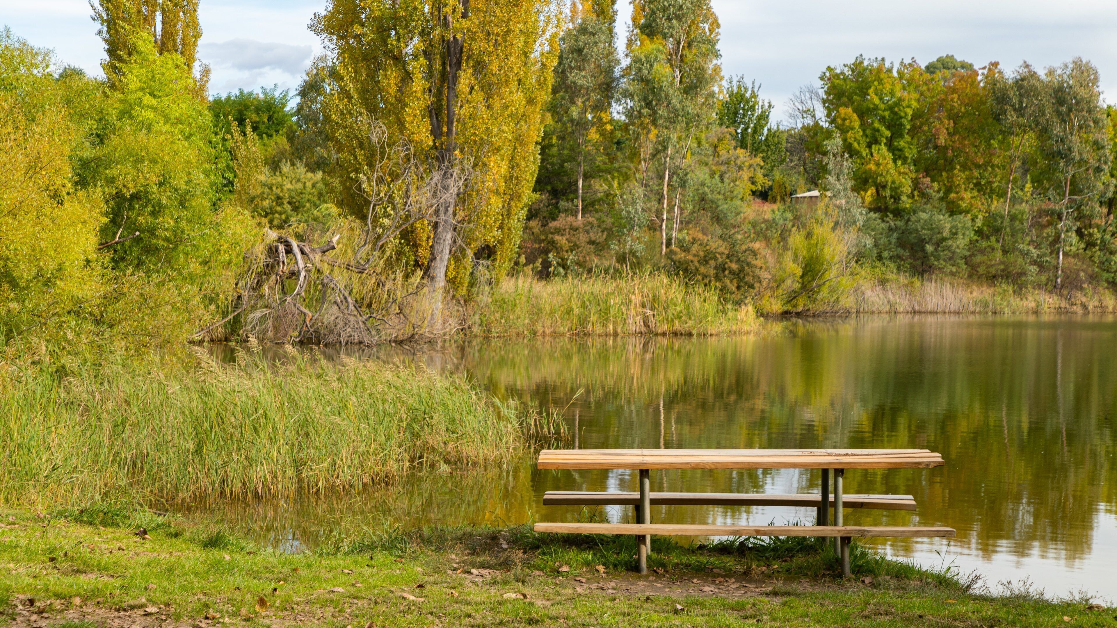Allans Flat Bushland Reserve showing a garden and a pond