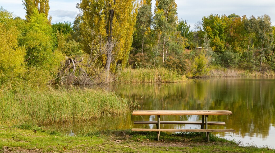Allans Flat Bushland Reserve showing a garden and a pond
