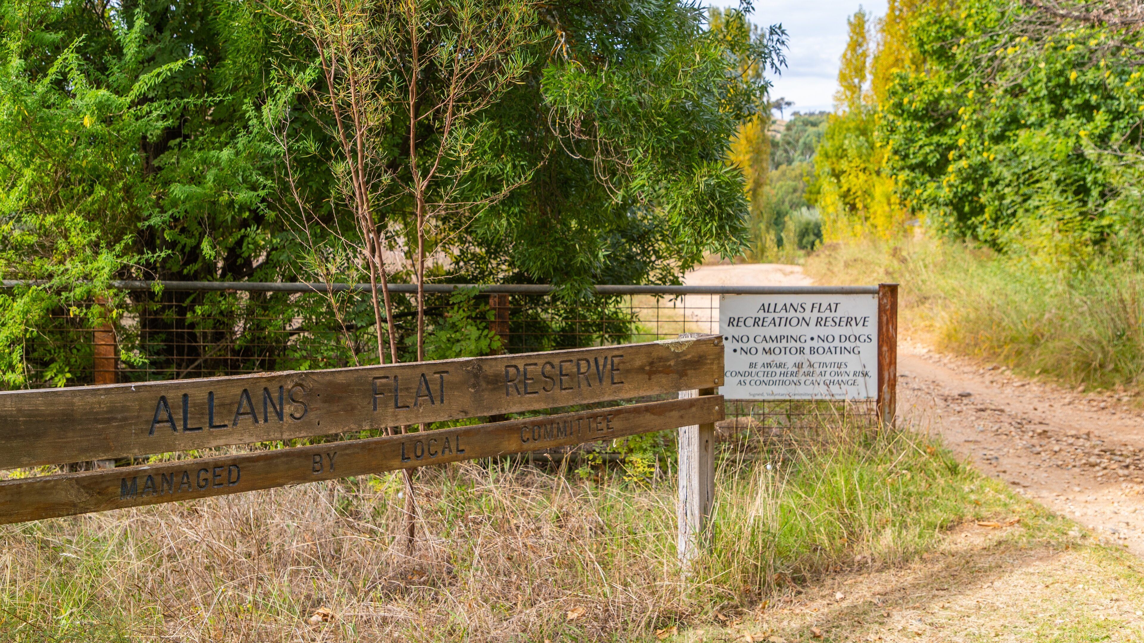 Allans Flat Bushland Reserve featuring tranquil scenes and signage