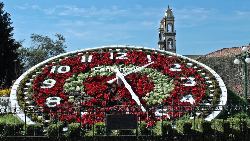 A large clock surrounded by flowers with a bell tower in the background.