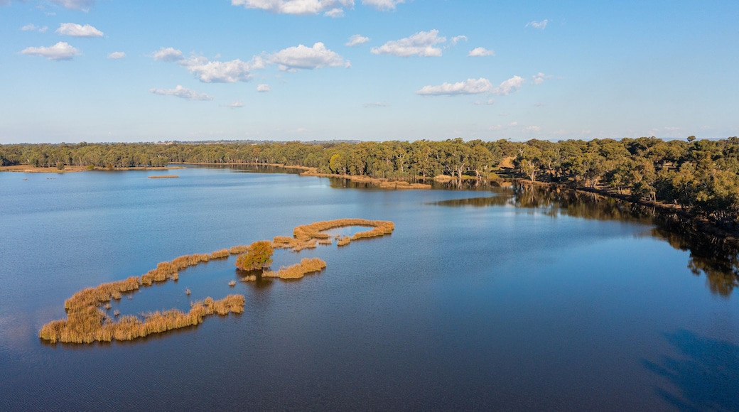 Moodemere Nature Conservation Reserve featuring a lake or waterhole