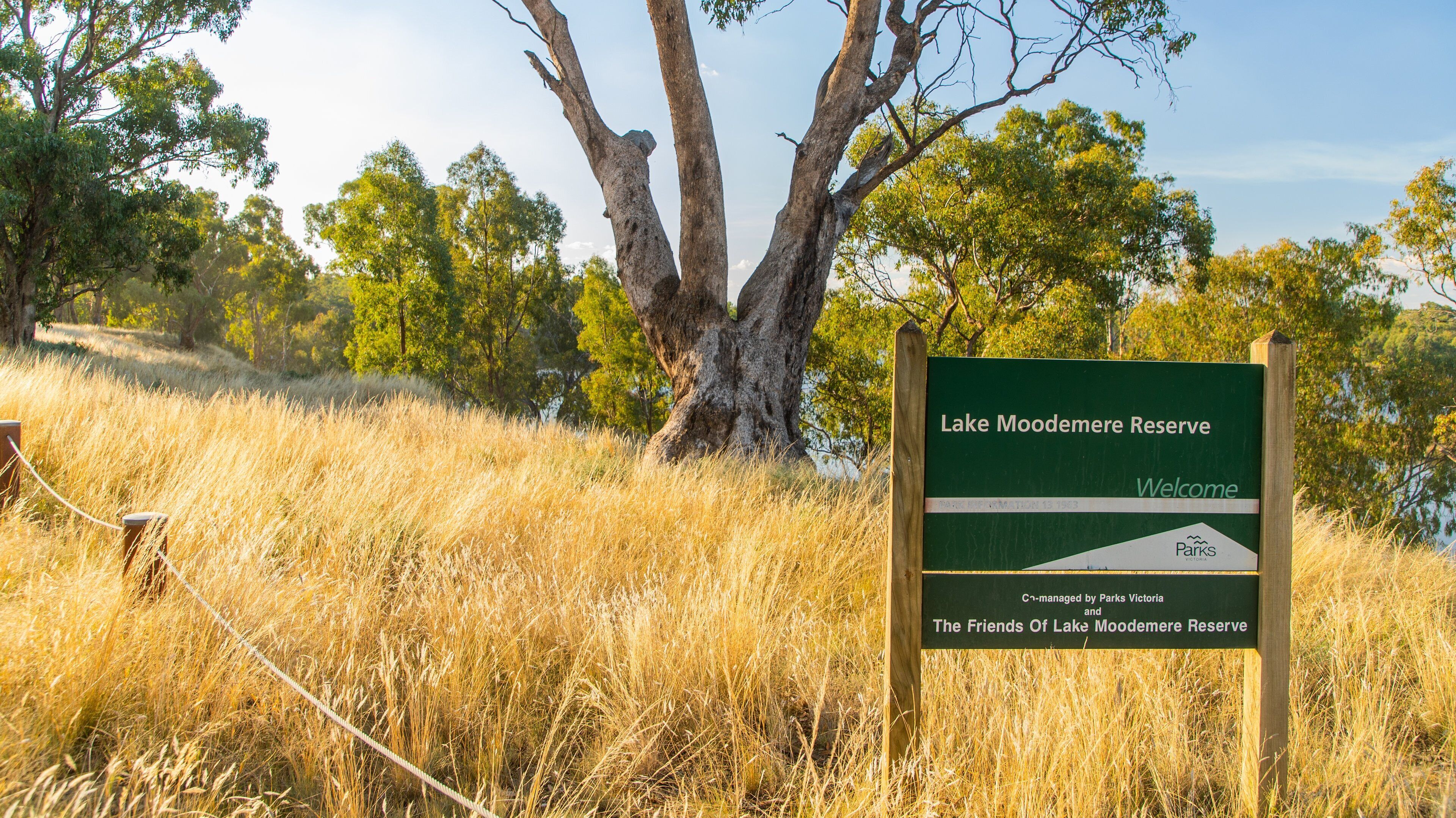 Moodemere Nature Conservation Reserve which includes tranquil scenes and signage