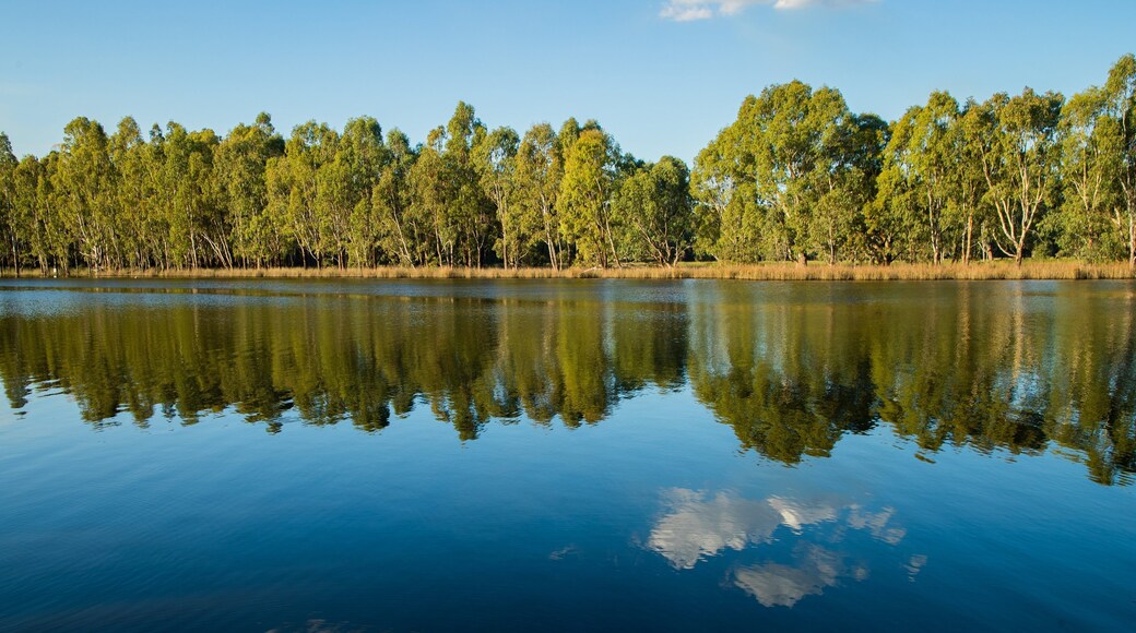 Moodemere Nature Conservation Reserve featuring a lake or waterhole