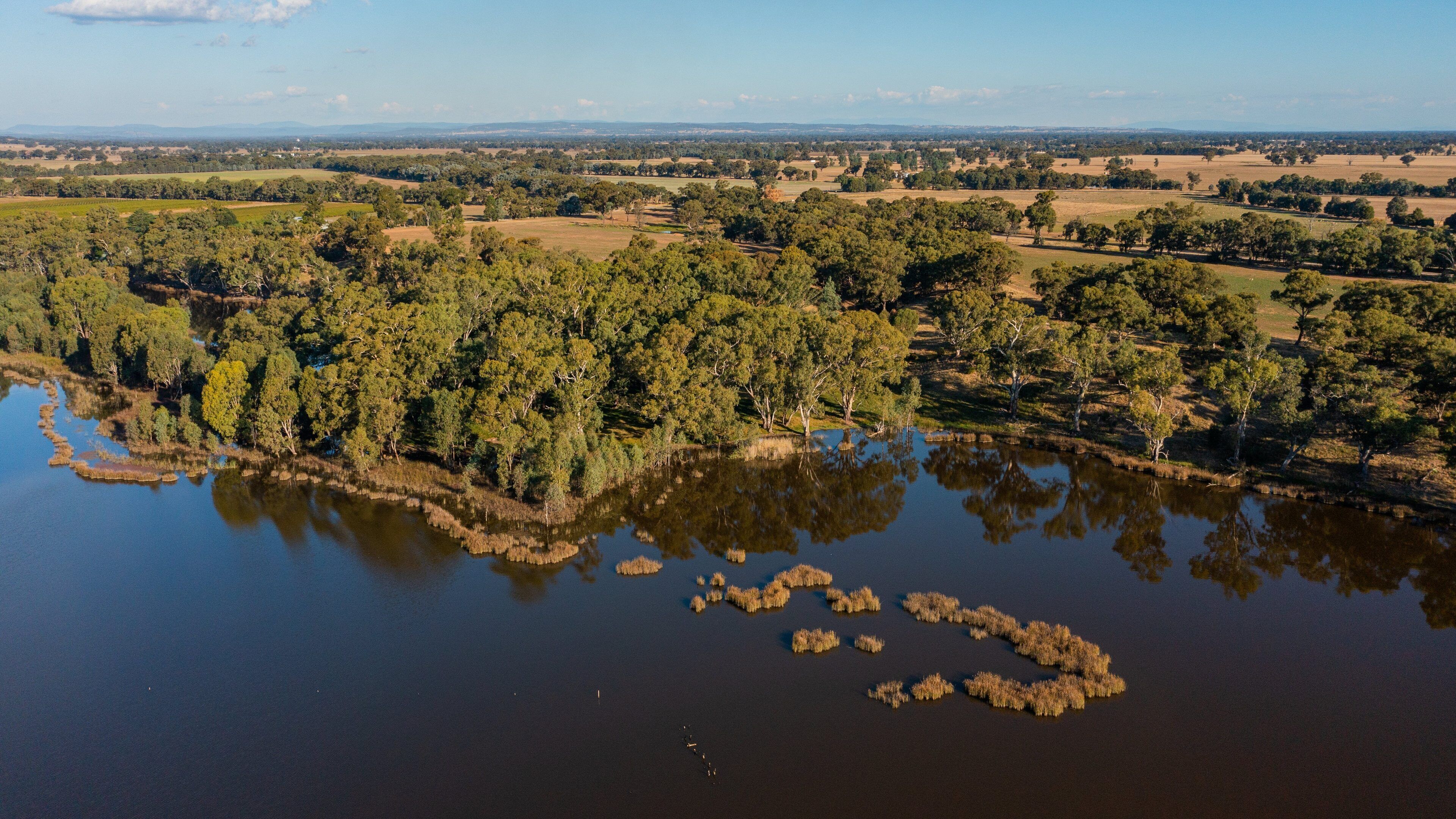 Moodemere Nature Conservation Reserve featuring a lake or waterhole, landscape views and tranquil scenes