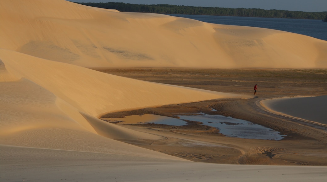 Dunas, Delta do Parnaiba, Brazil