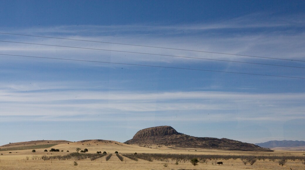 Desert Nothern Mexico. Chihuahua State.