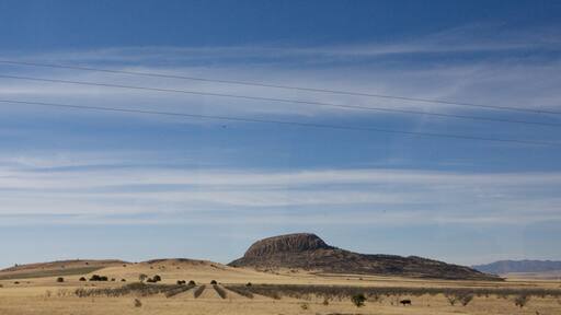 Desert Nothern Mexico. Chihuahua State.