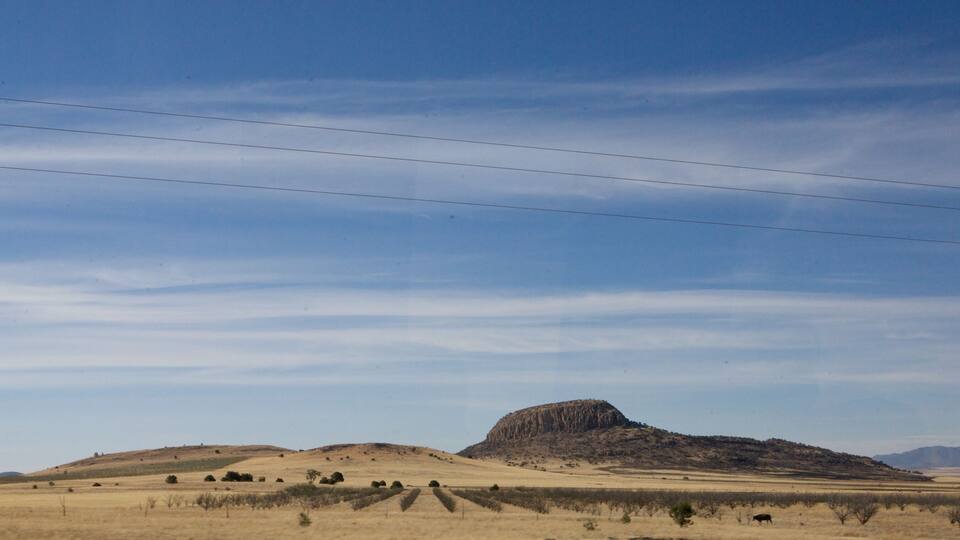 Desert Nothern Mexico. Chihuahua State.