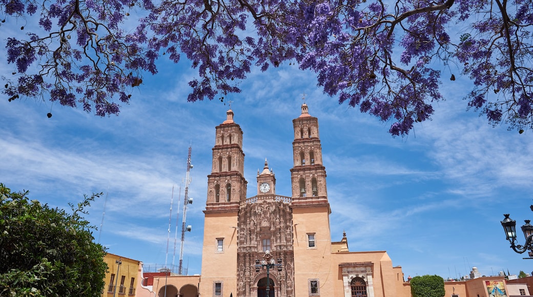 Parroquia Cathedral Dolores Hidalgo Mexico, Cradle of National Independence of Mexico with Jacaranda tree in Guanajuato.