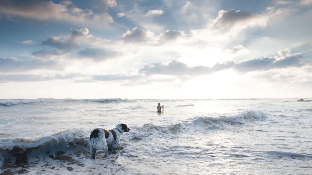 A dog ventures out into the surf where a woman plays in the waves on a quiet beach in Mexico.
