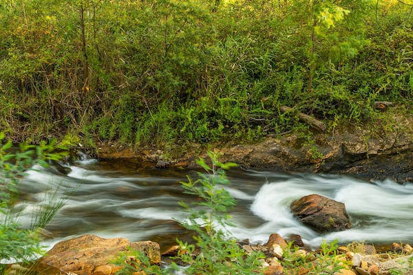 Ovens River J15 Streamside Reserve which includes a river or creek