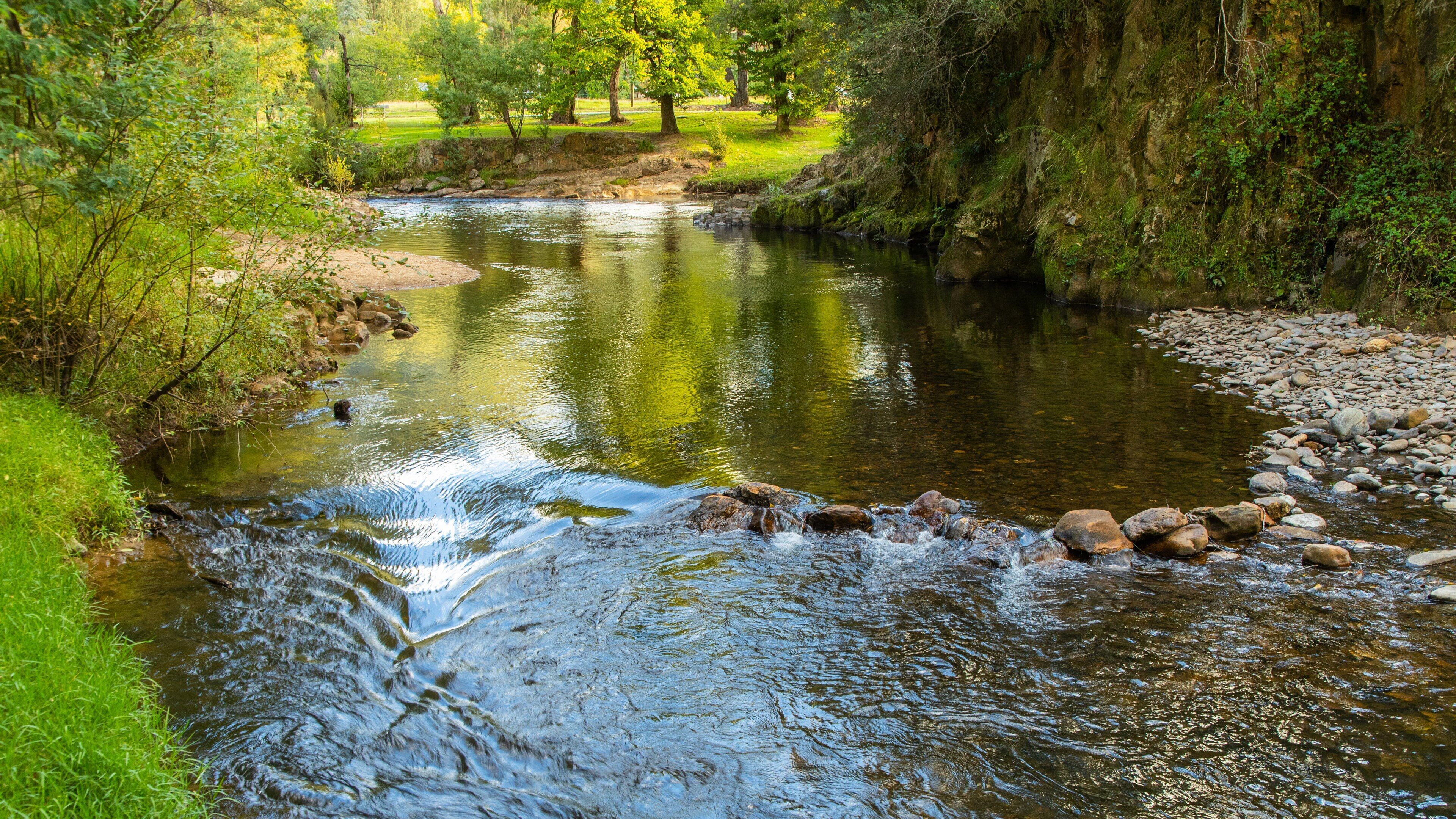 Ovens River J15 Streamside Reserve which includes a river or creek