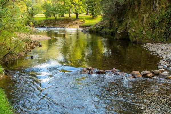 Ovens River J15 Streamside Reserve which includes a river or creek
