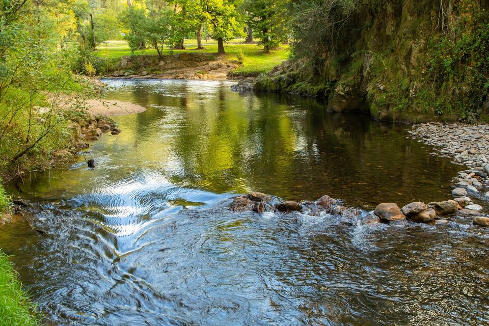 Un río serpentea a través de una zona boscosa, con rocas en el agua y árboles bordeando las orillas.