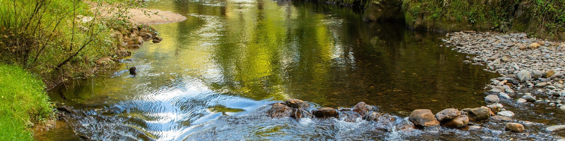Ovens River J15 Streamside Reserve which includes a river or creek